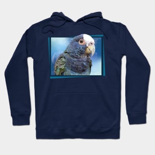 senile parrot Hoodie